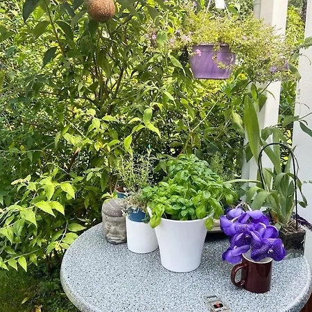 Luxurious With Fireplace And Garden 拉廷根