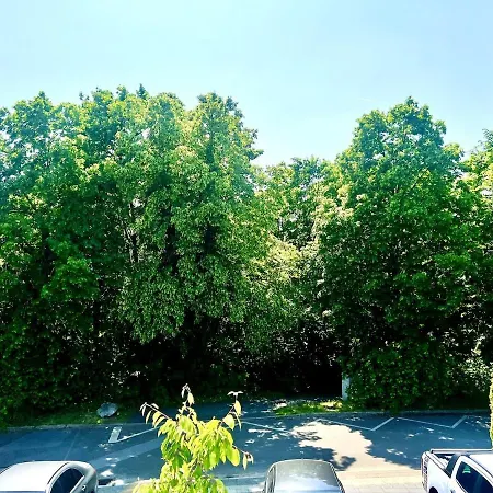 Luxurious With Fireplace And Garden 公寓 拉廷根